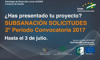 SUBSANACIÓN de Solicitudes de ayuda. 2º periodo Convocatoria 2017.