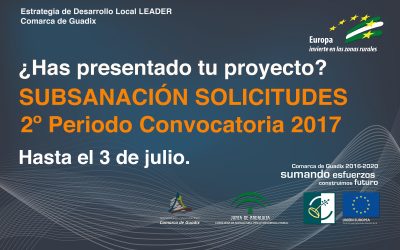 SUBSANACIÓN de Solicitudes de ayuda. 2º periodo Convocatoria 2017.