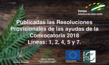 Publicadas las Resoluciones Provisionales de las ayudas de la Convocatoria 2018 Líneas: 1, 2, 4, 5 y 7.