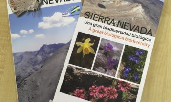 Se presentan en el GDR de Guadix los nuevos cuadernos sobre flora y mariposas de Sierra Nevada