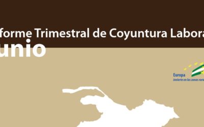 Informe trimestral de coyuntura laboral de la Comarca de Guadix