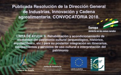 Publicada Resolución de la Dirección General de Industrias, Innovación y Cadena agroalimentaria. CONVOCATORIA 2018. LÍNEA 06