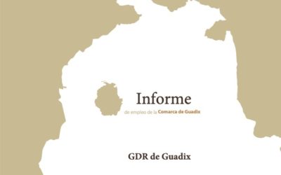 Informe trimestral de coyuntura laboral de la Comarca de Guadix. Tercer trimestre de 2021 (datos actualizados a septiembre).