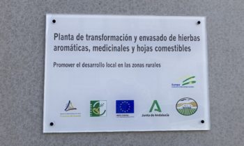 Otro proyecto hecho realidad. Planta de transformación y envasado de hierbas aromáticas, medicinales y hojas comestibles en Darro.