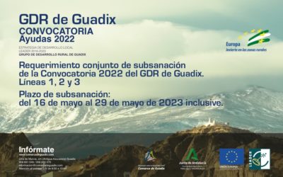 Publicado el Requerimiento conjunto de subsanación de la Convocatoria 2022 del GDR de Guadix: Líneas 1, 2 y 3