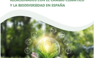 Estudio: EMPLEO Y TRANSICIÓN ECOLÓGICA. YACIMIENTOS DE EMPLEO, TRANSFORMACIÓN LABORAL Y RETOS FORMATIVOS EN LOS SECTORES RELACIONADOS CON EL CAMBIO CLIMÁTICO Y LA BIODIVERSIDAD EN ESPAÑA