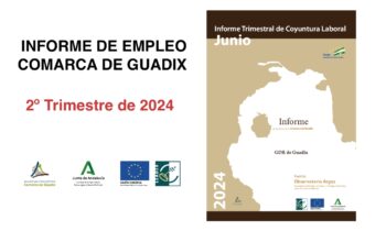 Informe Trimestral de Coyuntura Laboral en la Comarca de Guadix. SEGUNDO trimestre de 2024.