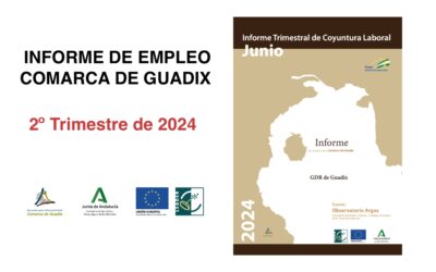 Informe Trimestral de Coyuntura Laboral en la Comarca de Guadix. SEGUNDO trimestre de 2024.