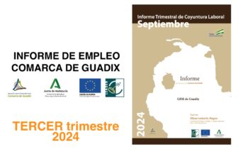 Informe Trimestral de Coyuntura Laboral en la Comarca de Guadix. TERCER trimestre de 2024.